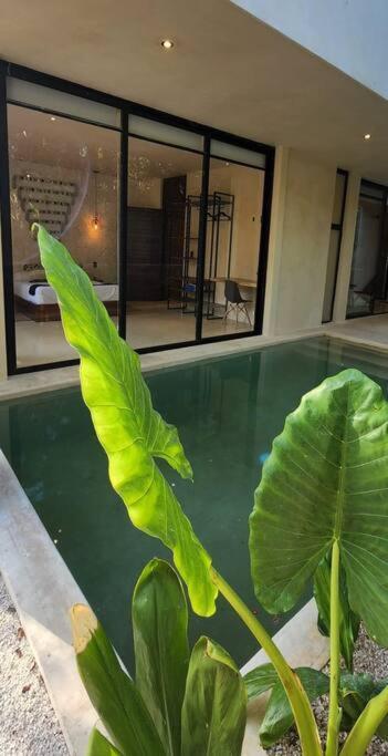 Apartment With Private Pool Tulum Chemuyil Exterior photo